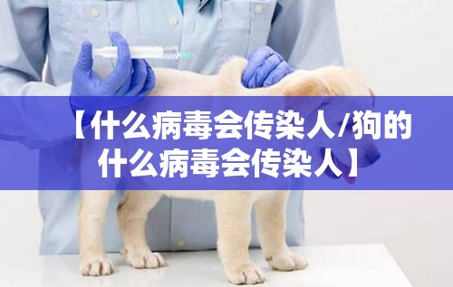 【什么病毒会传染人/狗的什么病毒会传染人】