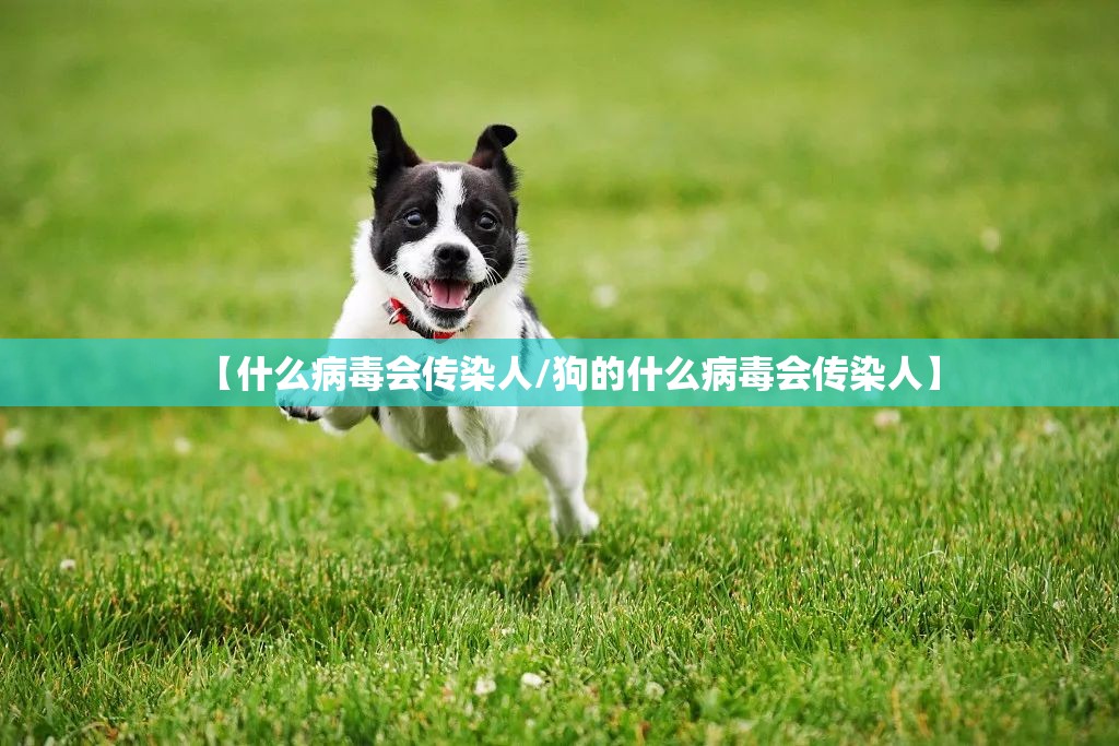 【什么病毒会传染人/狗的什么病毒会传染人】