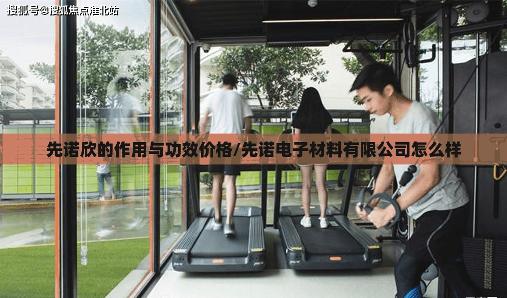先诺欣的作用与功效价格/先诺电子材料有限公司怎么样
