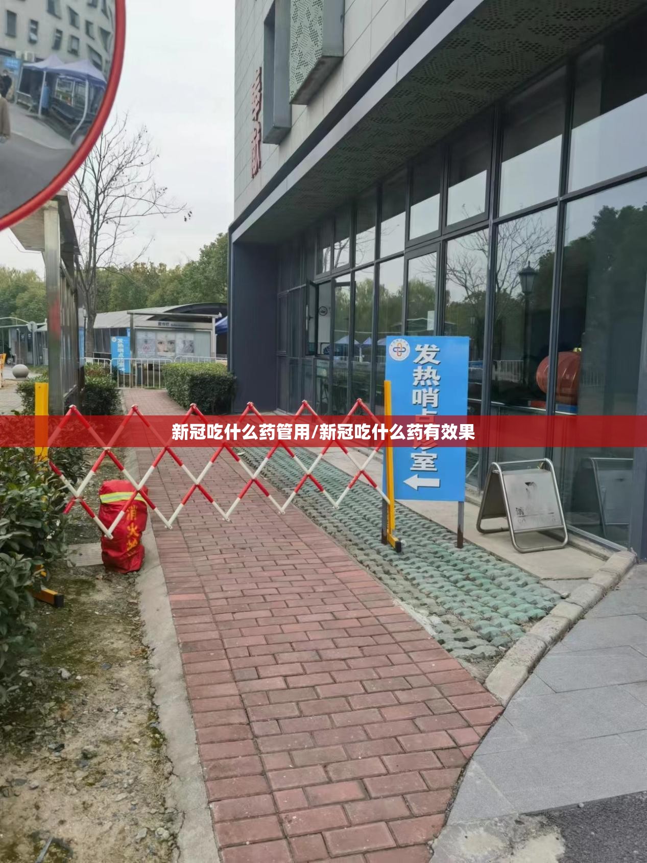 新冠吃什么药管用/新冠吃什么药有效果