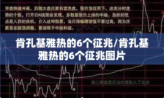 肯孔基雅热的6个征兆/肯孔基雅热的6个征兆图片