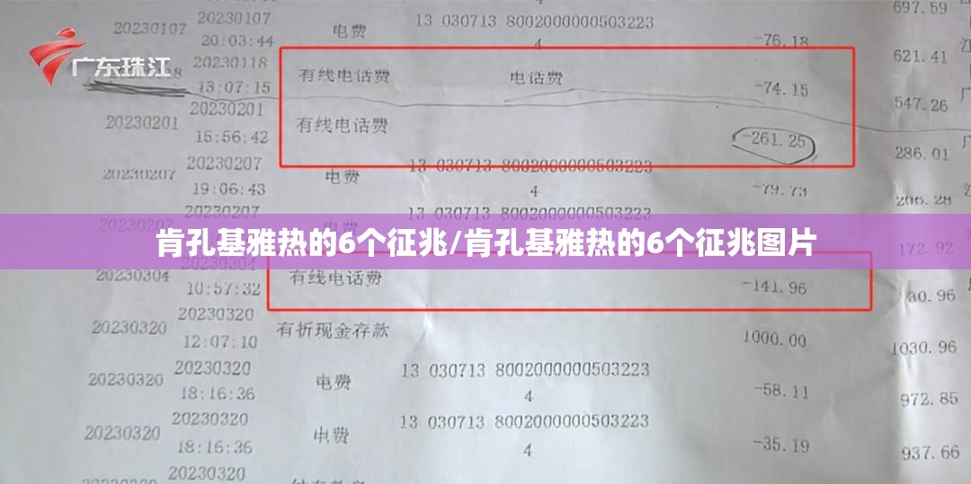 肯孔基雅热的6个征兆/肯孔基雅热的6个征兆图片