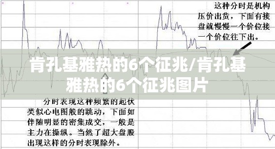 肯孔基雅热的6个征兆/肯孔基雅热的6个征兆图片