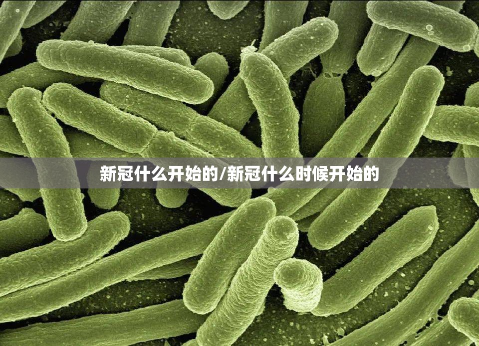新冠什么开始的/新冠什么时候开始的