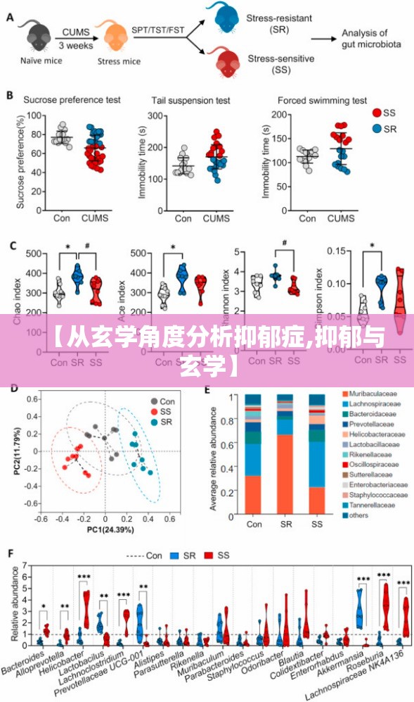 【从玄学角度分析抑郁症,抑郁与玄学】