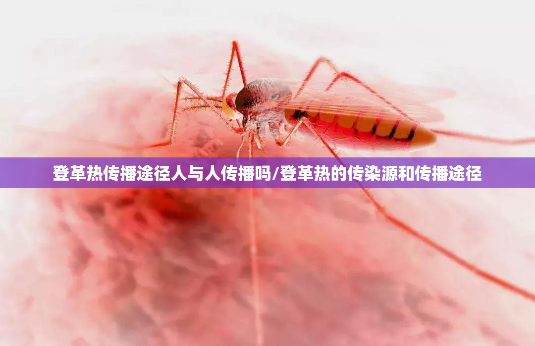 登革热传播途径人与人传播吗/登革热的传染源和传播途径