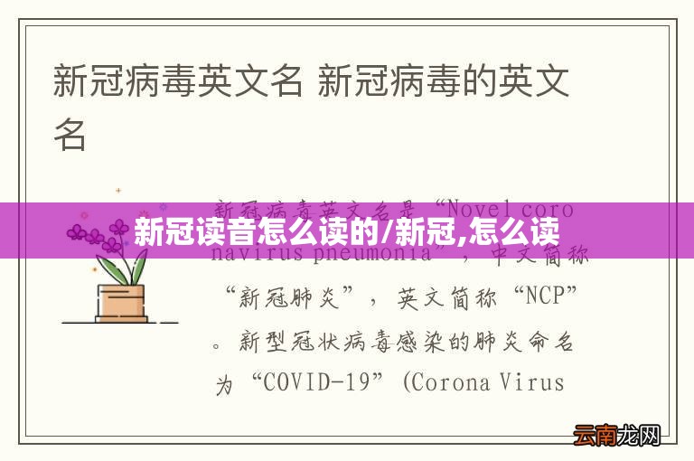 新冠读音怎么读的/新冠,怎么读