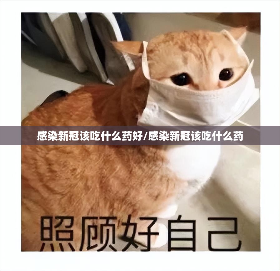 感染新冠该吃什么药好/感染新冠该吃什么药