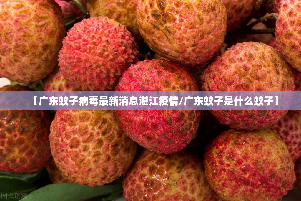 【广东蚊子病毒最新消息湛江疫情/广东蚊子是什么蚊子】