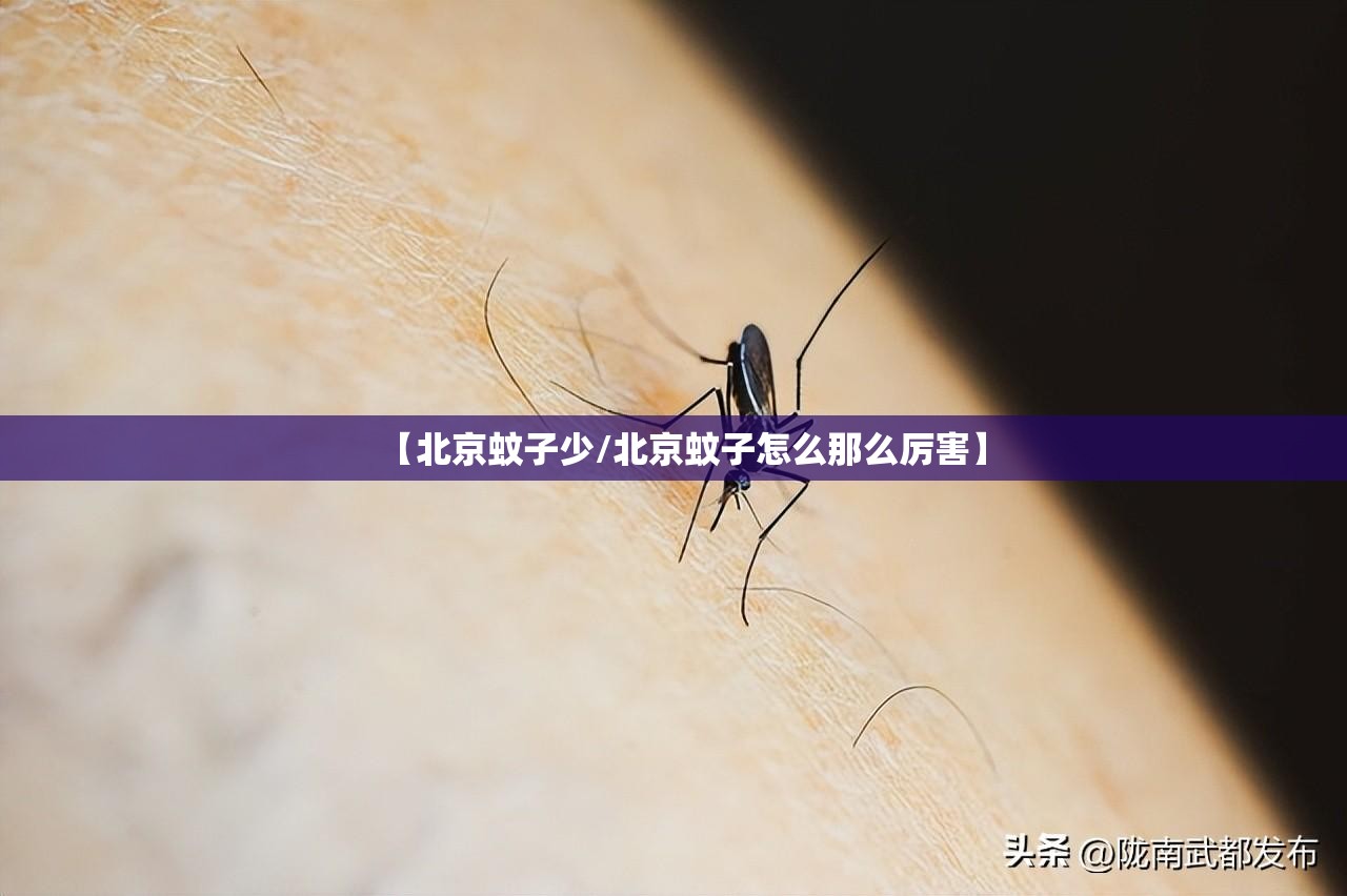 【北京蚊子少/北京蚊子怎么那么厉害】
