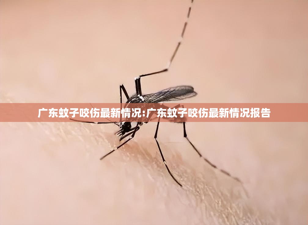 广东蚊子咬伤最新情况:广东蚊子咬伤最新情况报告