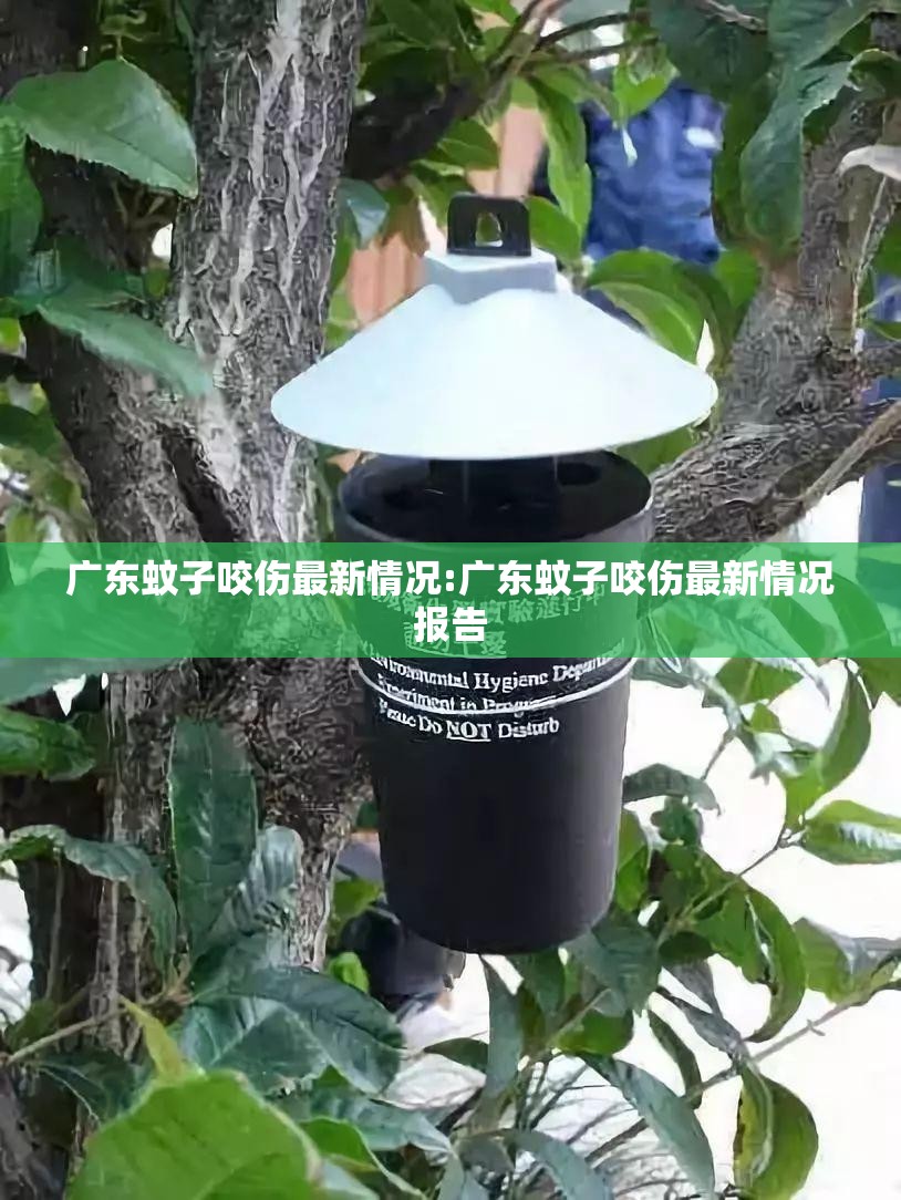广东蚊子咬伤最新情况:广东蚊子咬伤最新情况报告