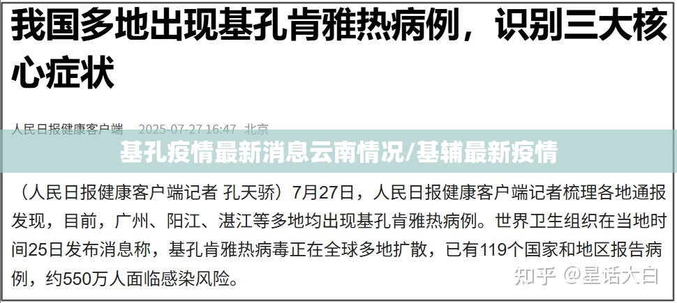 基孔疫情最新消息云南情况/基辅最新疫情