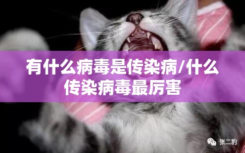 有什么病毒是传染病/什么传染病毒最厉害