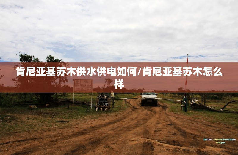 肯尼亚基苏木供水供电如何/肯尼亚基苏木怎么样