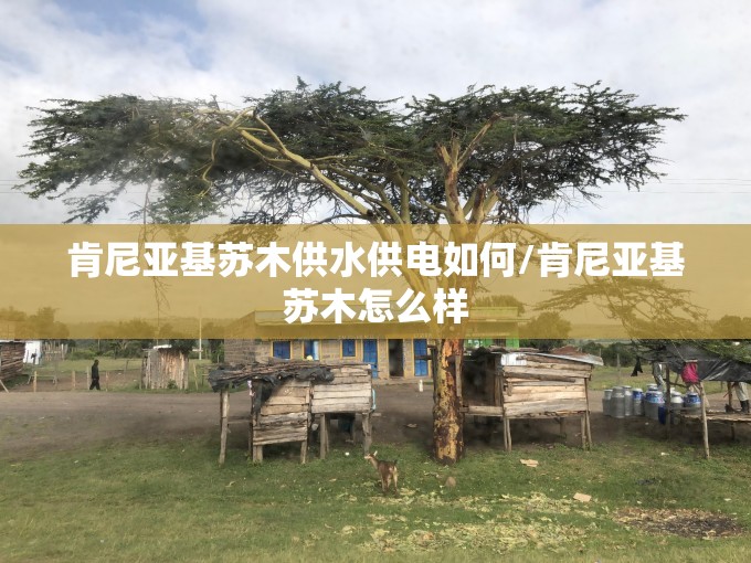 肯尼亚基苏木供水供电如何/肯尼亚基苏木怎么样