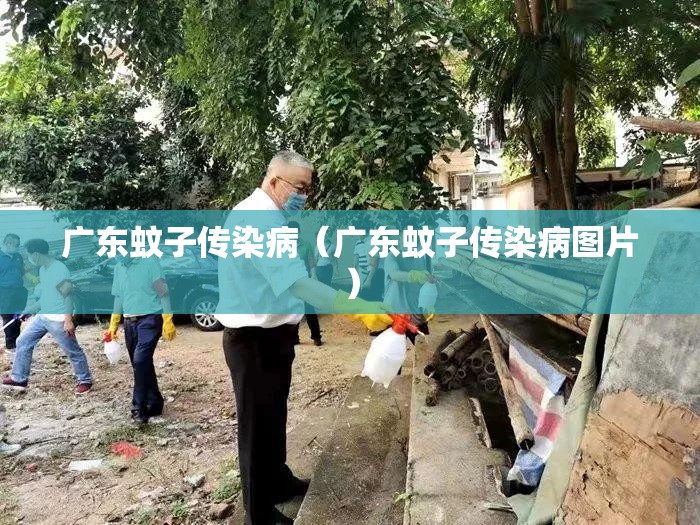 广东蚊子传染病（广东蚊子传染病图片）