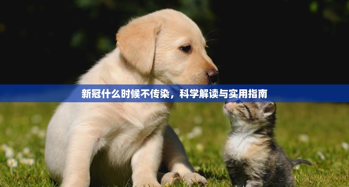 新冠什么时候不传染，科学解读与实用指南