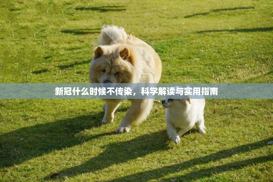 新冠什么时候不传染，科学解读与实用指南