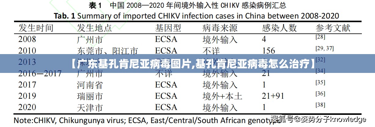 【广东基孔肯尼亚病毒图片,基孔肯尼亚病毒怎么治疗】