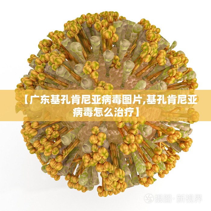 【广东基孔肯尼亚病毒图片,基孔肯尼亚病毒怎么治疗】