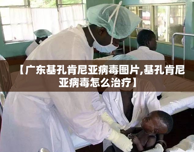 【广东基孔肯尼亚病毒图片,基孔肯尼亚病毒怎么治疗】