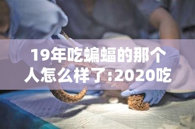 19年吃蝙蝠的那个人怎么样了:2020吃蝙蝠的人