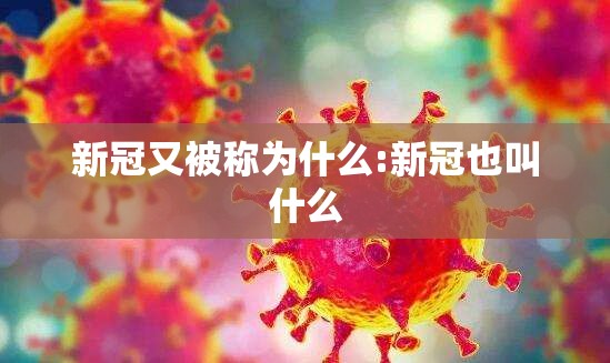 新冠又被称为什么:新冠也叫什么