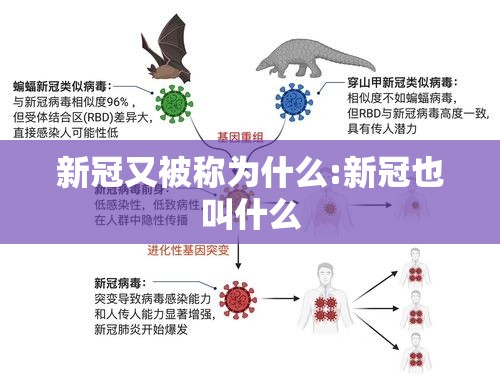新冠又被称为什么:新冠也叫什么