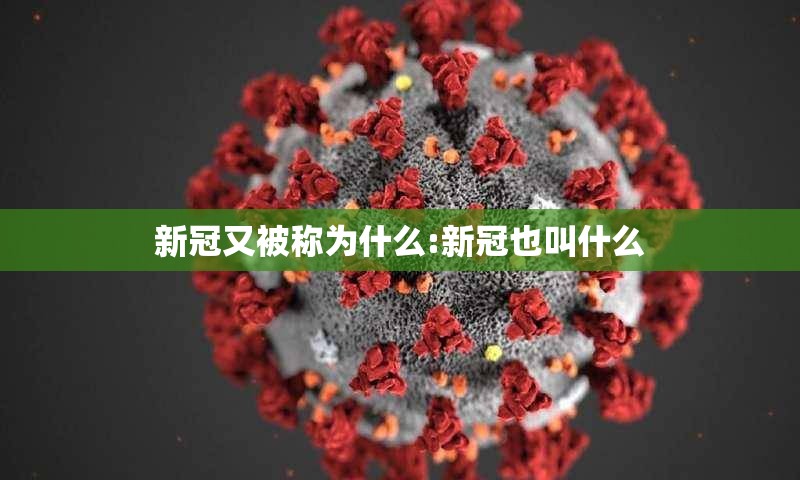 新冠又被称为什么:新冠也叫什么