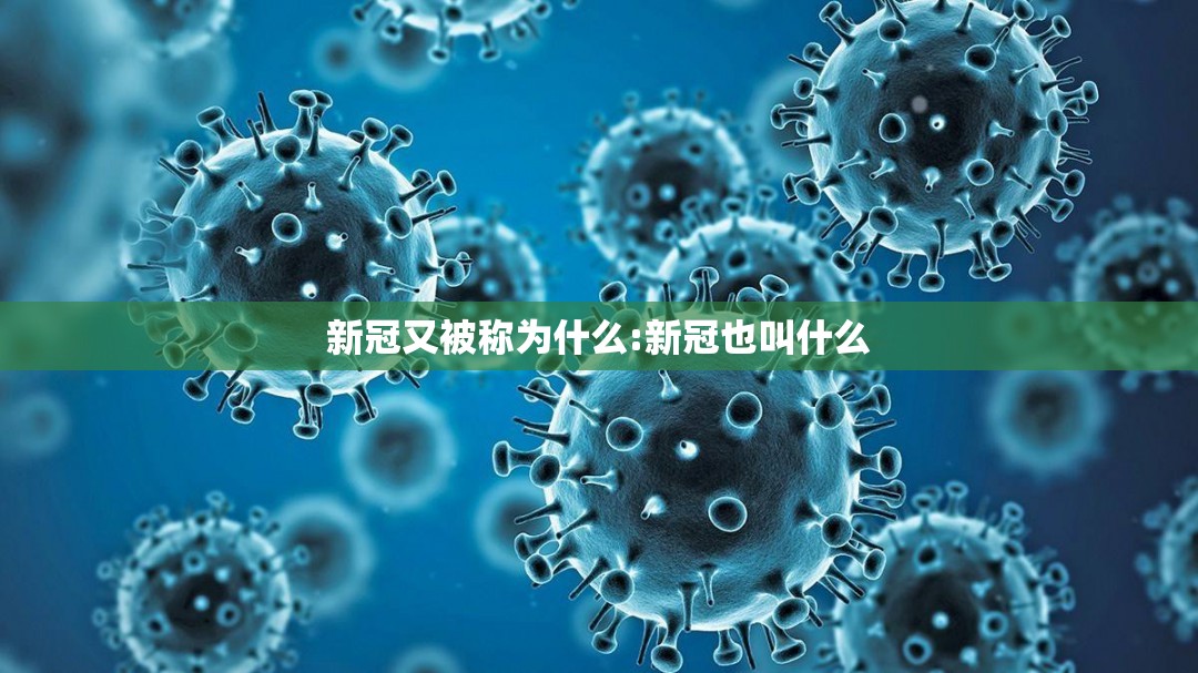 新冠又被称为什么:新冠也叫什么