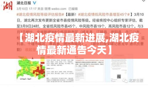 【湖北疫情最新进展,湖北疫情最新通告今天】