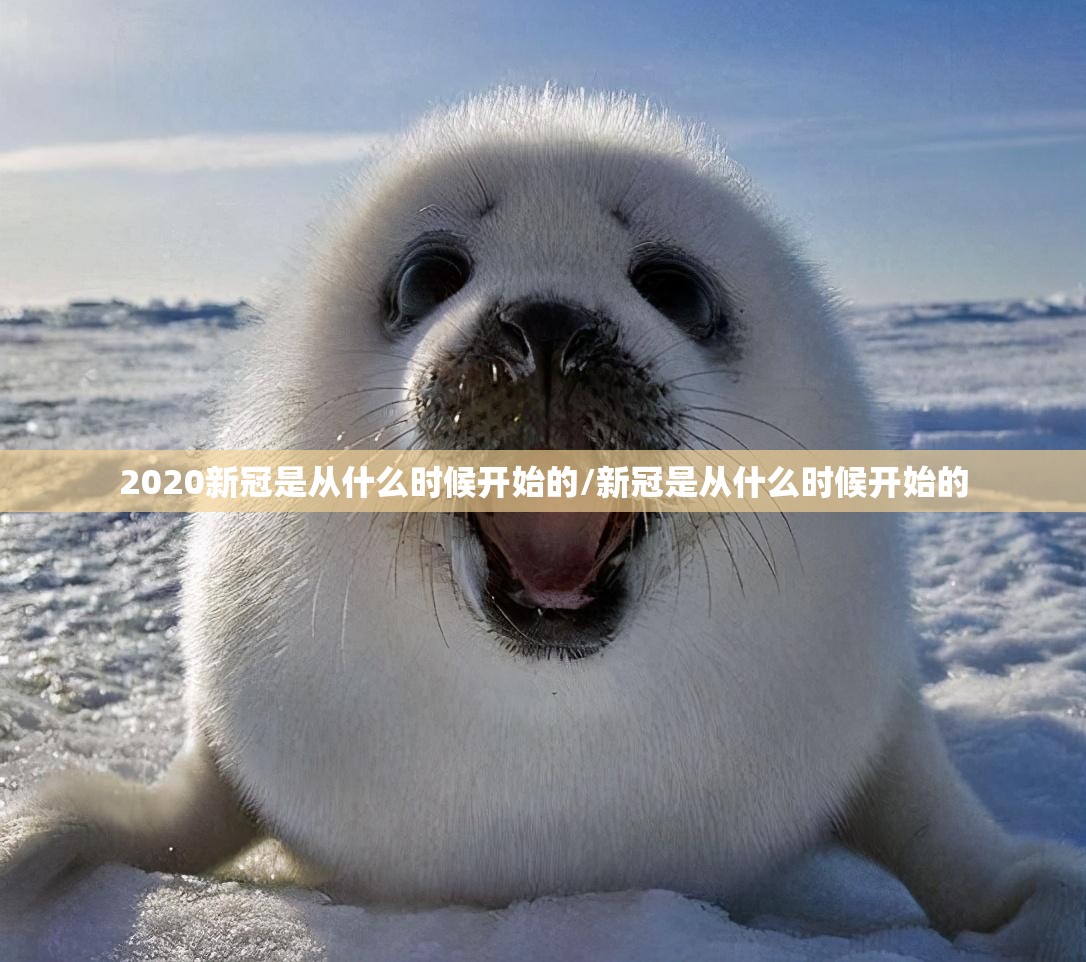 2020新冠是从什么时候开始的/新冠是从什么时候开始的