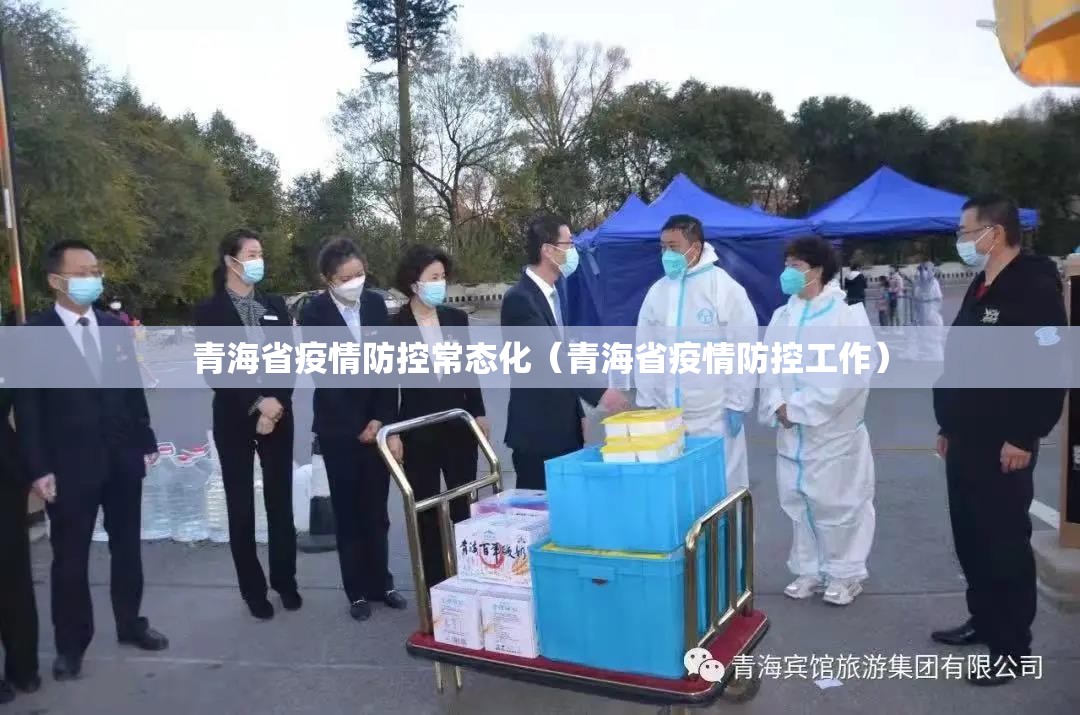 青海省疫情防控常态化（青海省疫情防控工作）