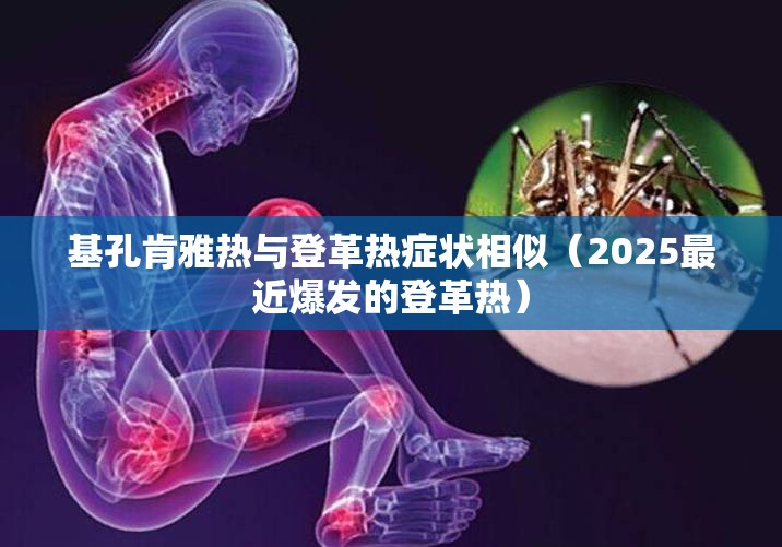 基孔肯雅热与登革热症状相似（2025最近爆发的登革热）