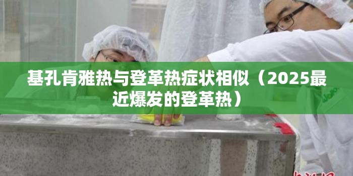基孔肯雅热与登革热症状相似（2025最近爆发的登革热）