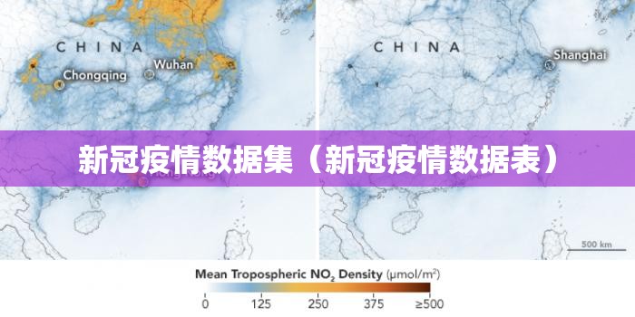 新冠疫情数据集（新冠疫情数据表）