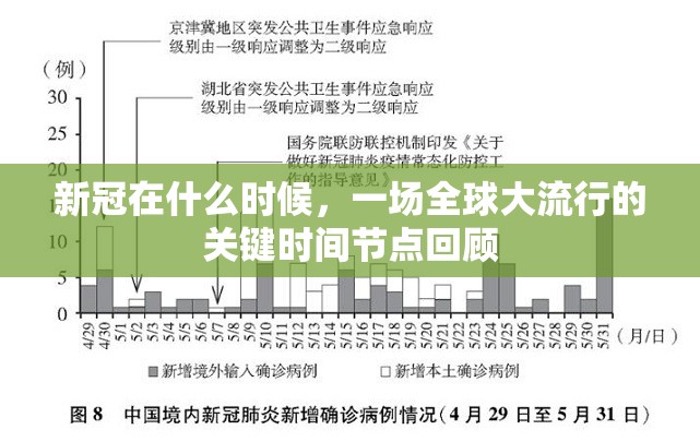新冠在什么时候，一场全球大流行的关键时间节点回顾