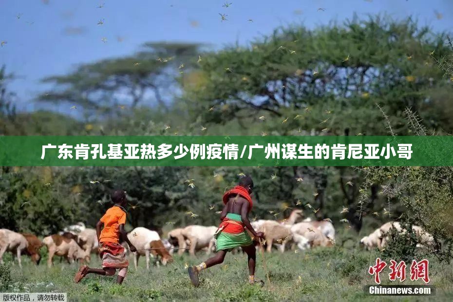 广东肯孔基亚热多少例疫情/广州谋生的肯尼亚小哥