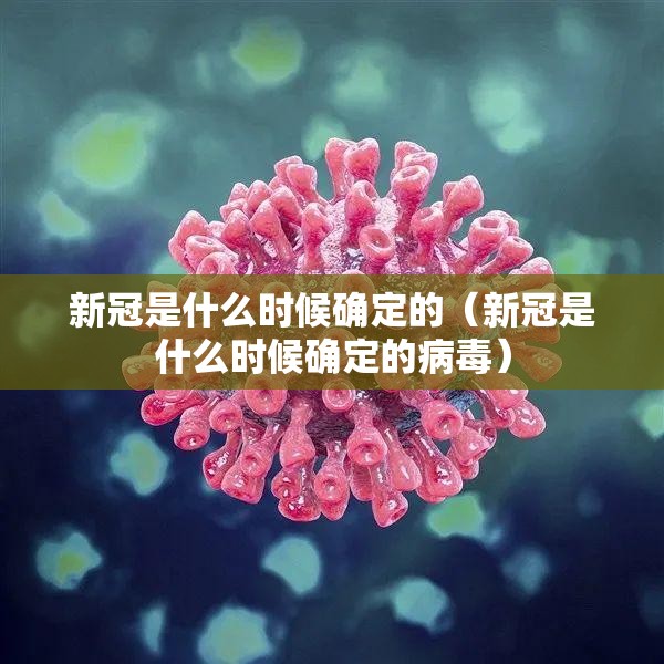 新冠是什么时候确定的（新冠是什么时候确定的病毒）