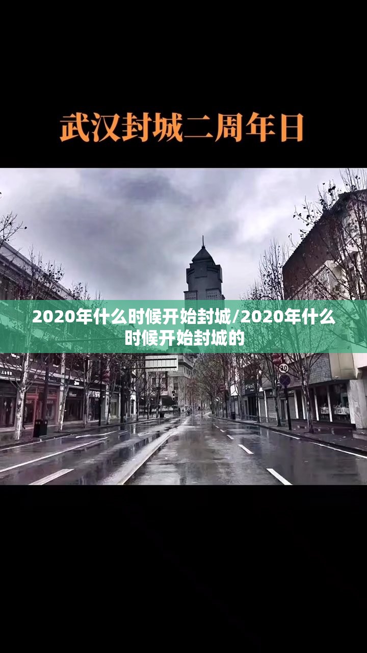 2020年什么时候开始封城/2020年什么时候开始封城的
