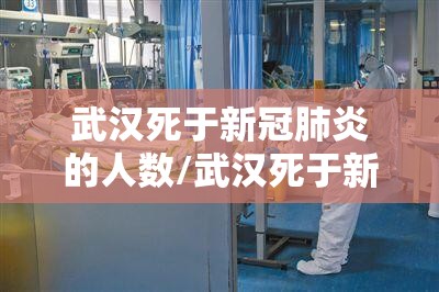 武汉死于新冠肺炎的人数/武汉死于新冠肺炎的人