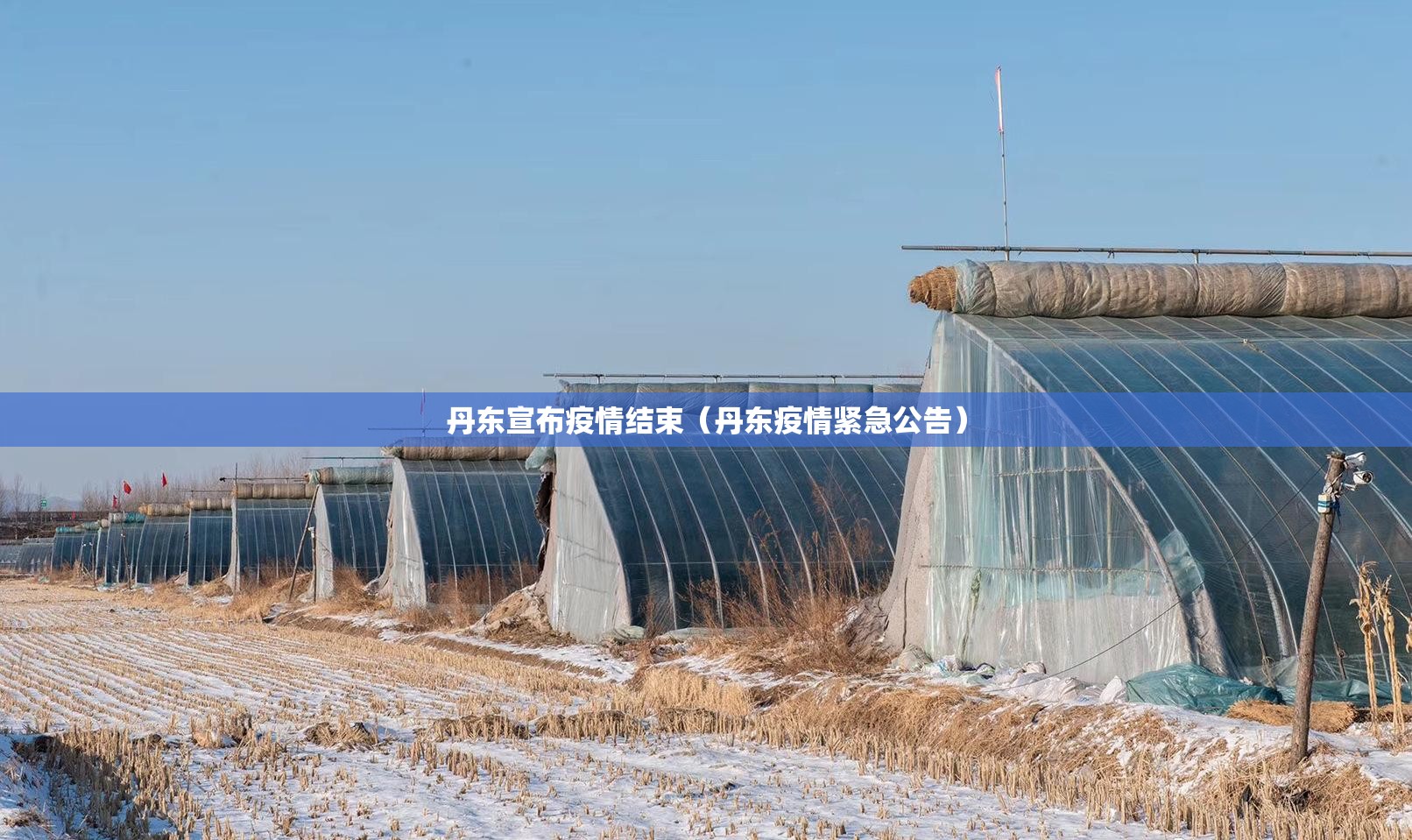 丹东宣布疫情结束（丹东疫情紧急公告）