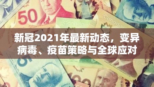 新冠2021年最新动态，变异病毒、疫苗策略与全球应对