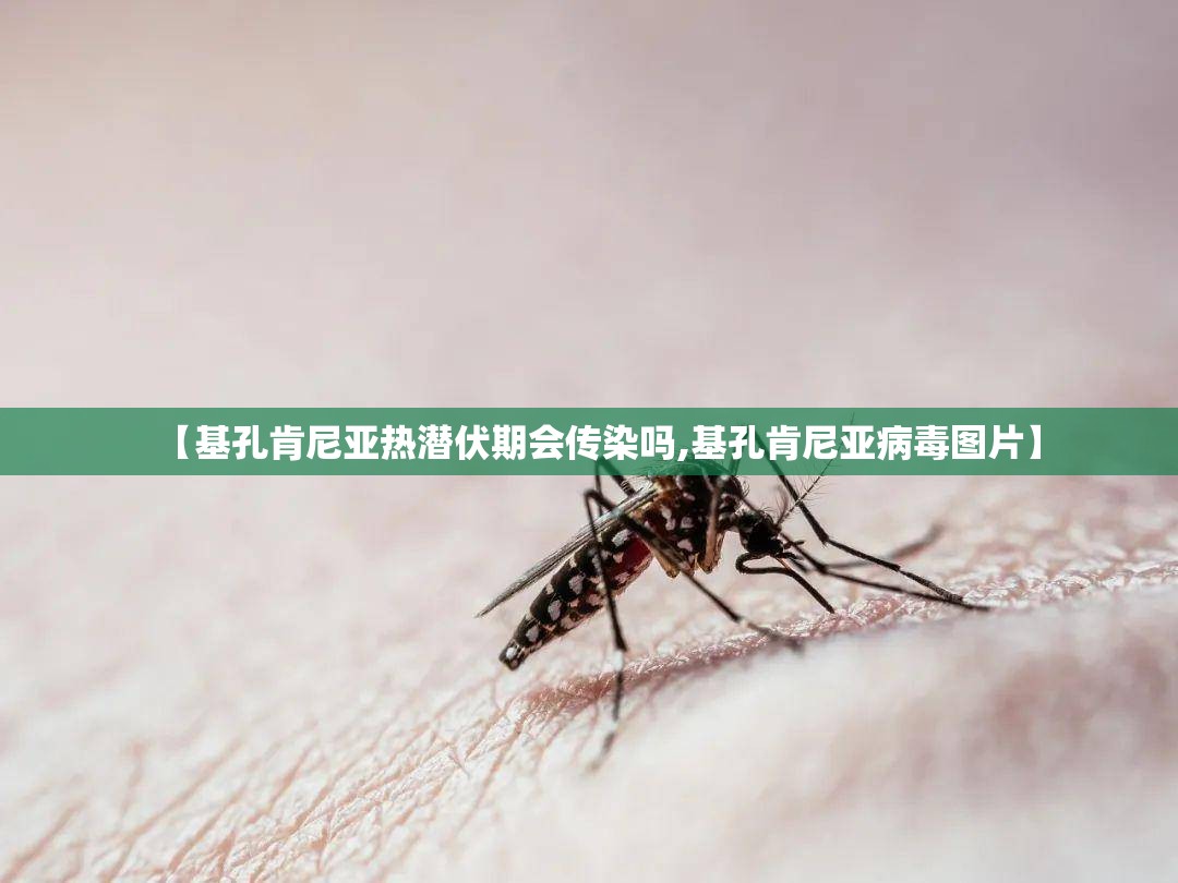 【基孔肯尼亚热潜伏期会传染吗,基孔肯尼亚病毒图片】