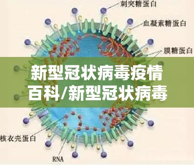 新型冠状病毒疫情百科/新型冠状病毒最新资讯