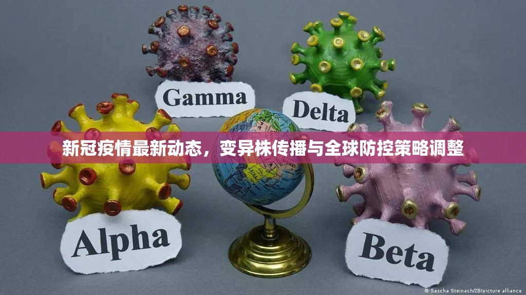 新冠疫情最新动态，变异株传播与全球防控策略调整
