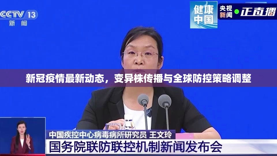 新冠疫情最新动态，变异株传播与全球防控策略调整