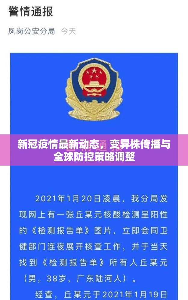 新冠疫情最新动态，变异株传播与全球防控策略调整
