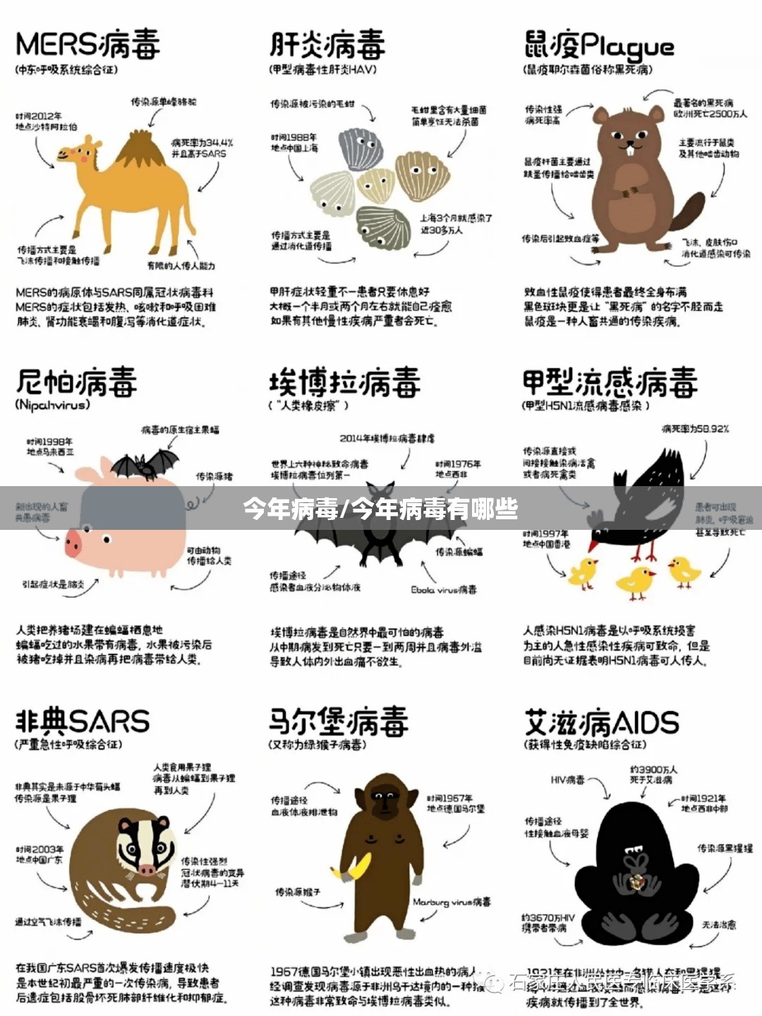 今年病毒/今年病毒有哪些